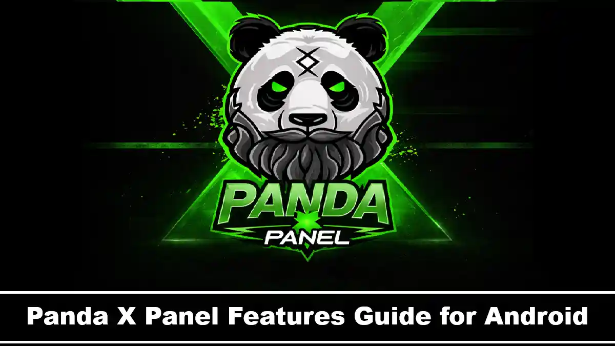 Panda X Panel Main Sections Guide | Panda X Panel